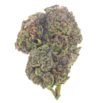 Biscotti Cake - 28 Grams - Hybrid